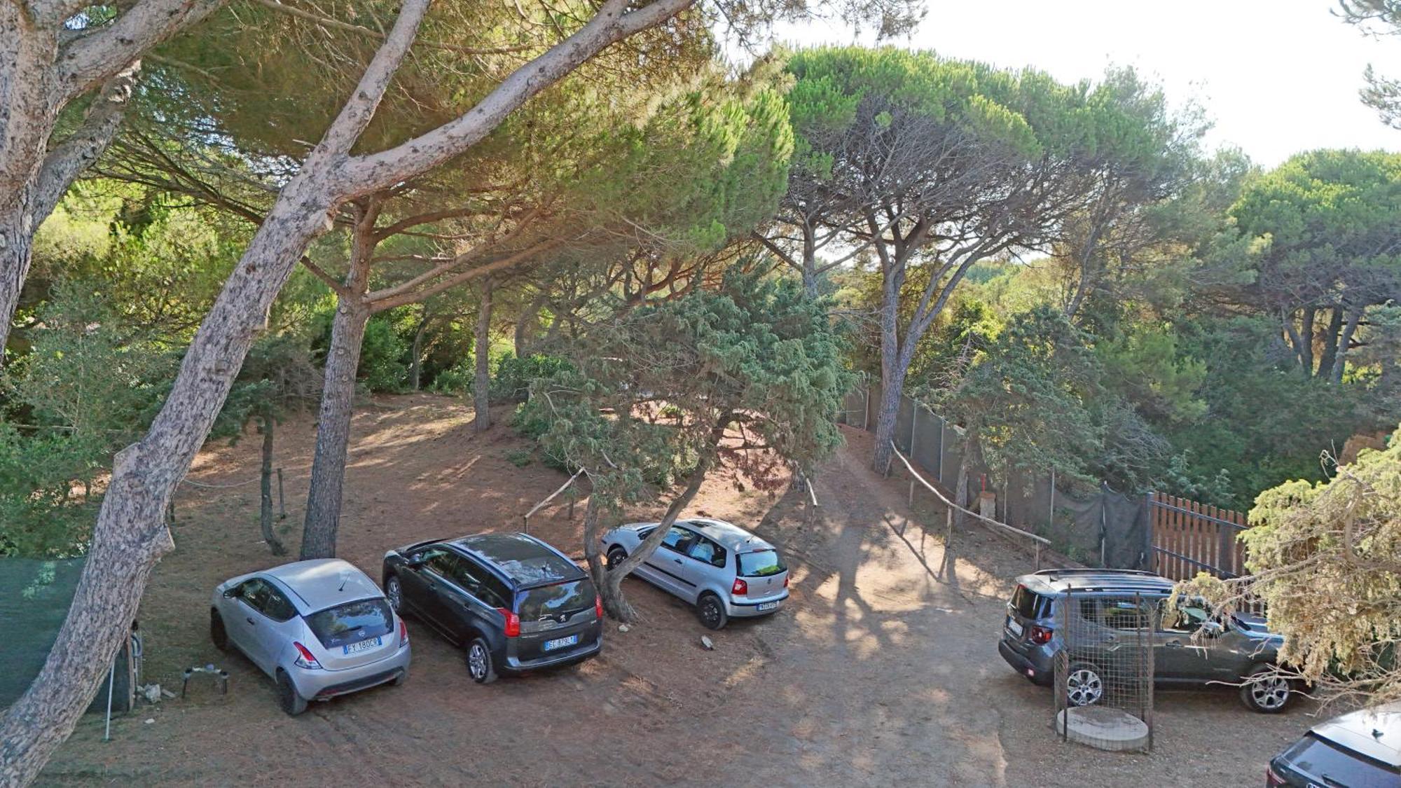 Hotel Paradiso Verde Marina Di Bibbona Extérieur photo